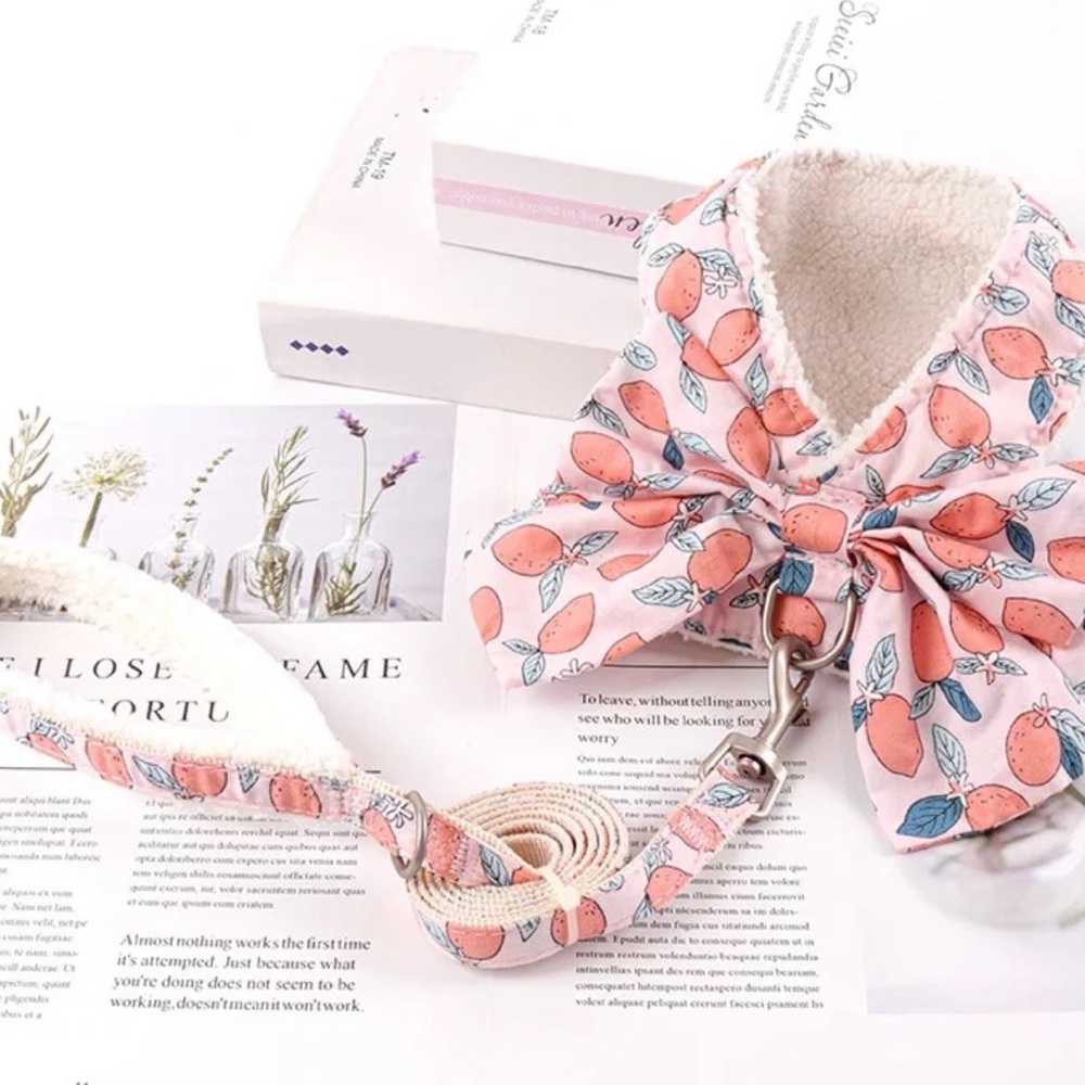 Peach Print Pet Harness and Leash Set